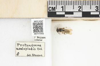 Media type: image;   Entomology 777342 Aspect: Labels